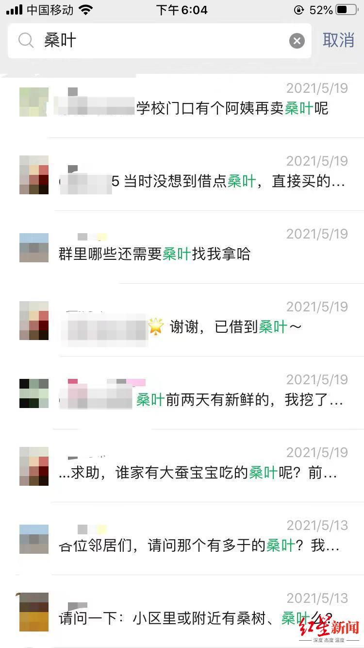 “保安大哥，让我摘片桑叶吧！我家蚕宝宝快饿死了！”