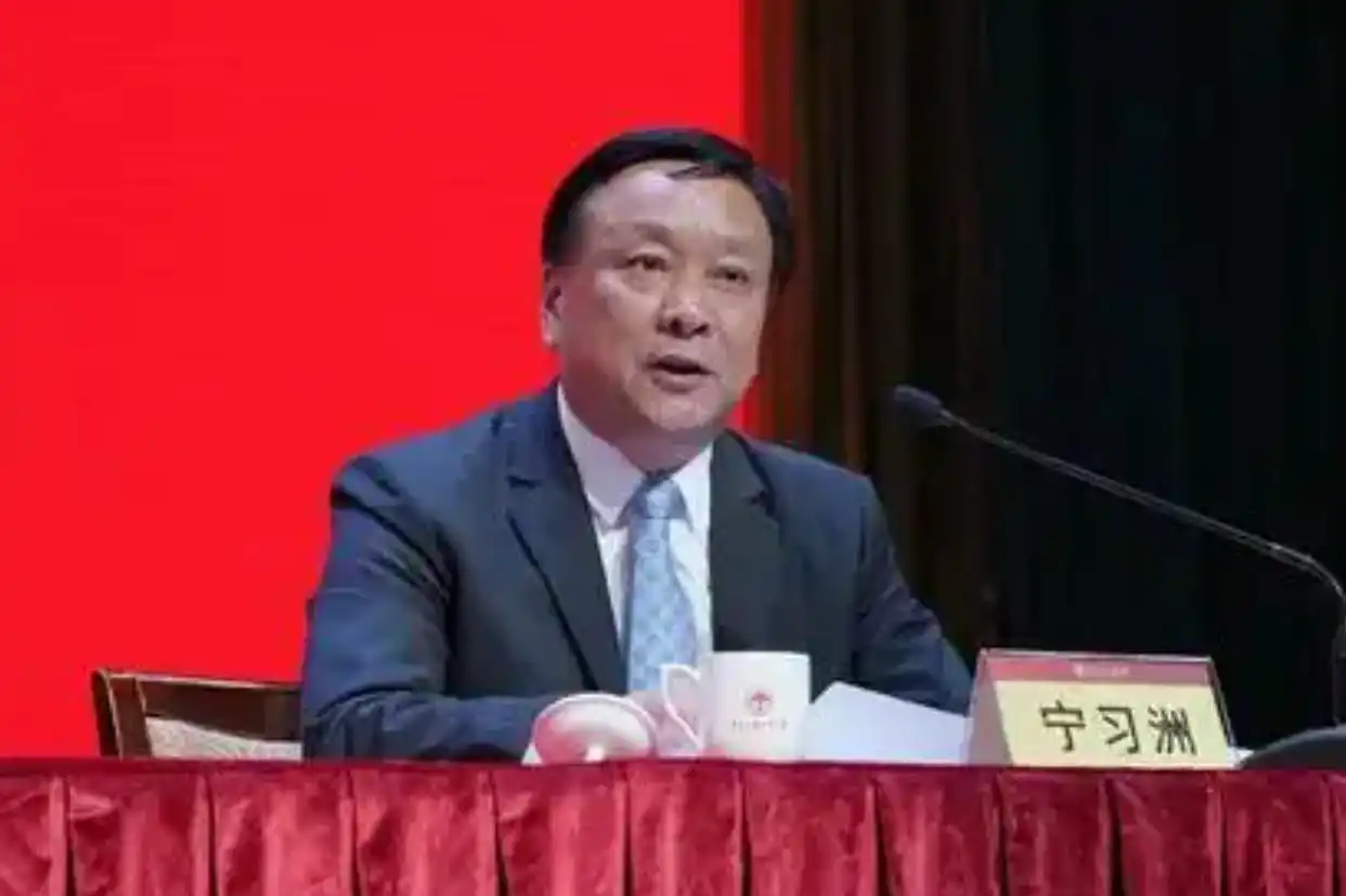 宁习洲：从大学副校长到主动投案，一段让人深思的故事